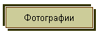 Фотографии